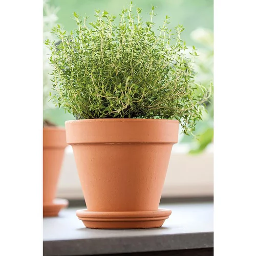 Vase brut rouge en terre cuite D.31 x H29