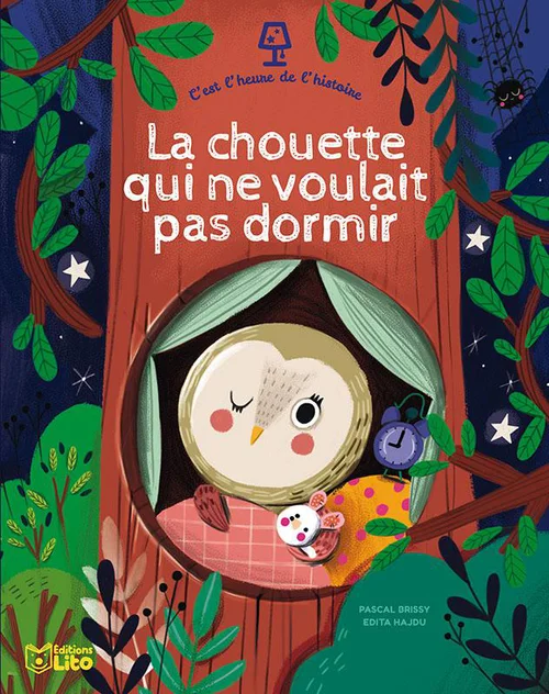 Livre "La chouette qui ne voulait pas dormir" aux Éditions Lito Collection C’est l'heure de l'histoire
