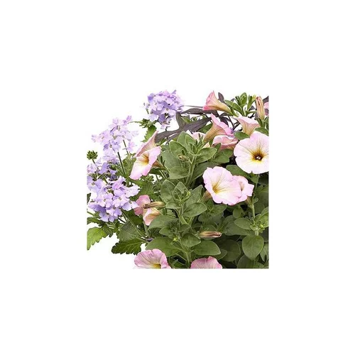 Melange Confetti Romantique - La jardinière de 50 cm