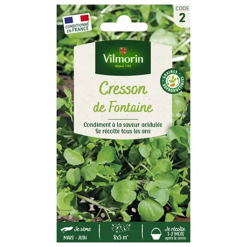Graines de cresson coloris vert Vilmorin jardin - graines à semer