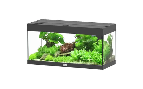 Meuble pour aquarium en bois coloris gris foncé 3 portes Aquatlantis Sublime Ultra 150 - 150 x 50 x 83 cm