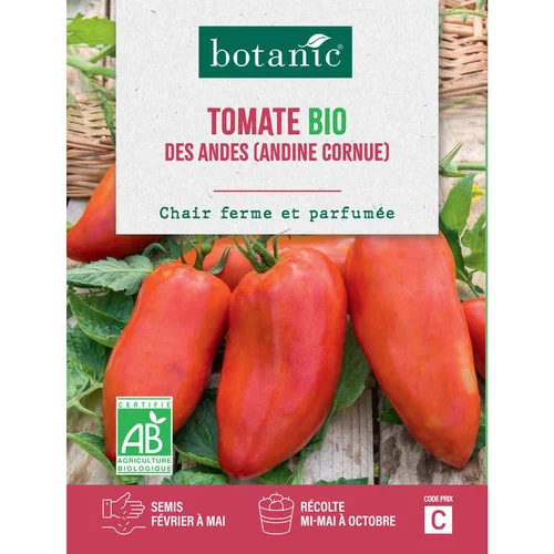 Graines de tomate des andes bio botanic® - graines des semer