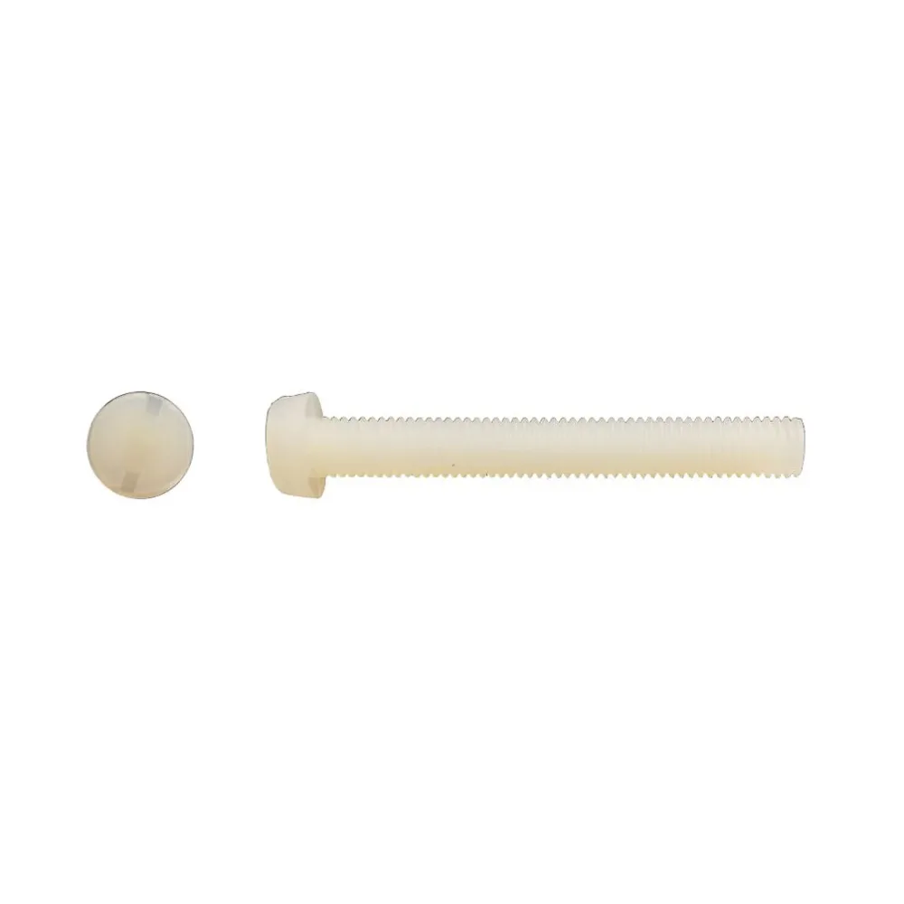 200 Vis Métaux Tête Cylindrique Fendue 6 × 12 mm – DIN 84, Polyamide, D-Work