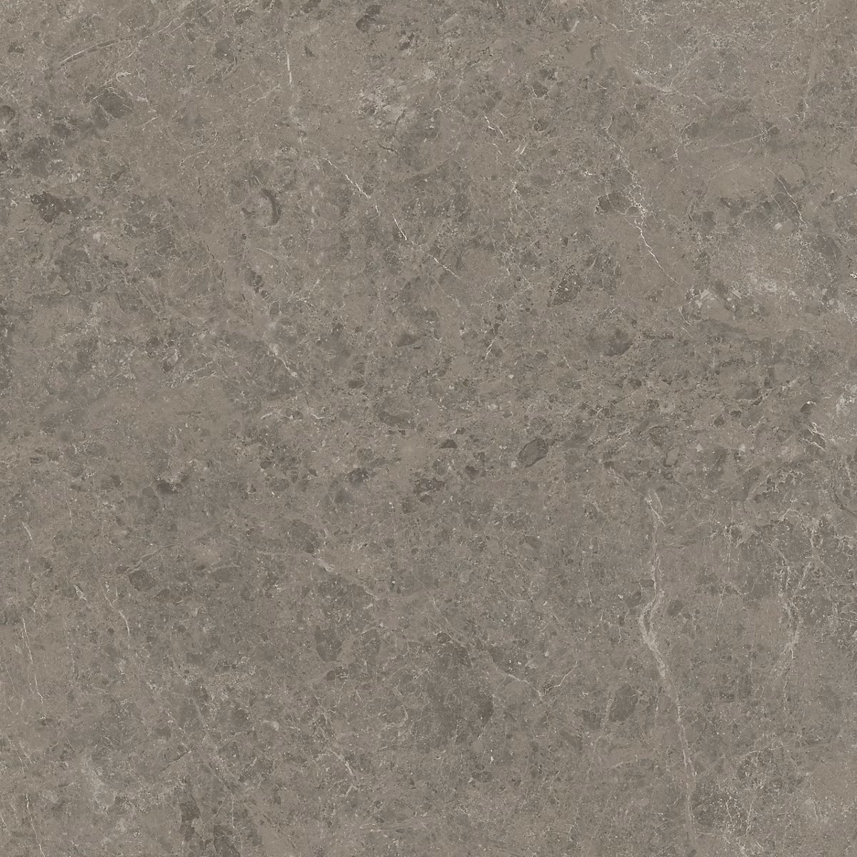 Carrelage effet Marbre Gris Impérial 120 × 120 × 0 – 9 cm Brillant Orsiano, Sol et mur intérieur (vendu par carton de 2,88 m²), RO'MA