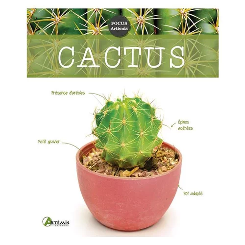 Cactus