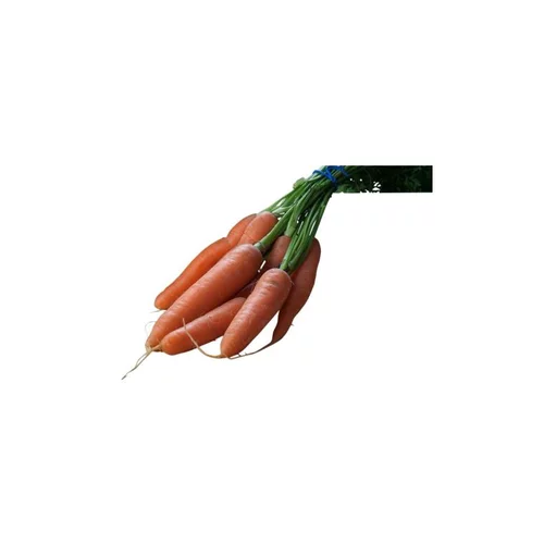 Carotte botte bio de France environ 500g - Prix à la pièce