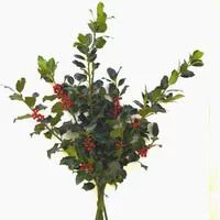 Bouquet de houx vert et rouge pour décoration de Noël - 60/80 cm