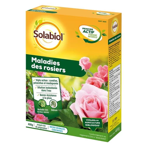 Maladies des rosiers