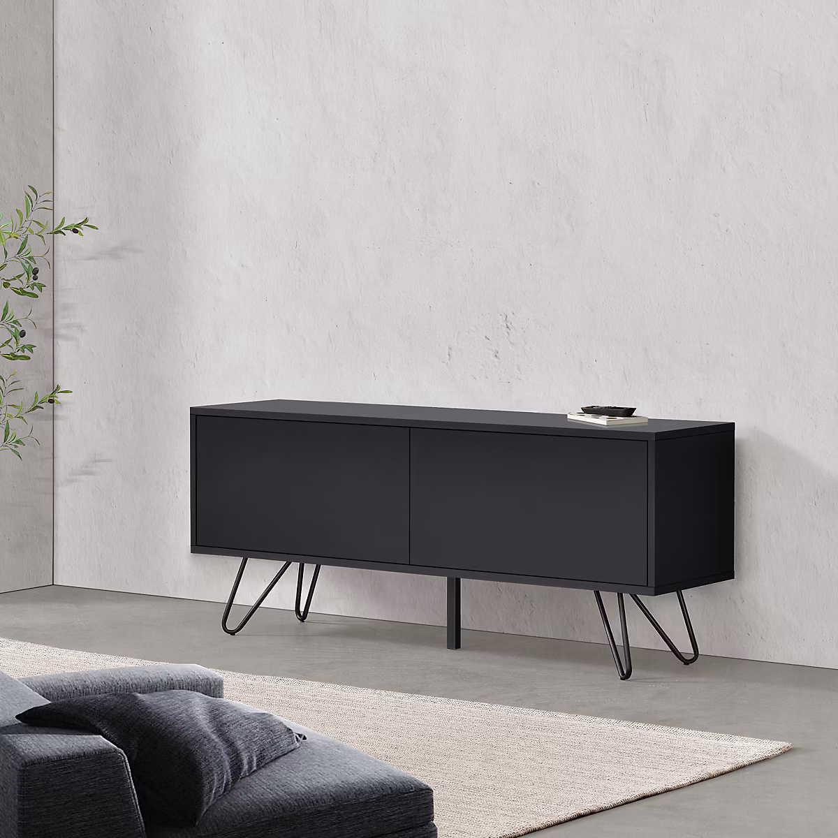 Commode Bollebygd à 2 Portes 47 × 110 × 30 cm Noir en.casa