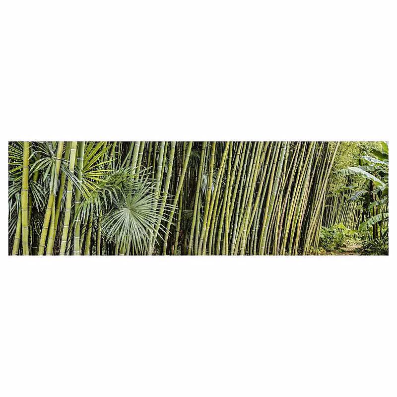 Brise vue zen HAIE DE BAMBOUS – H.1.5 x L.5 m | 100% occultant | Made in France par Scenolia + kit de fixation offert
