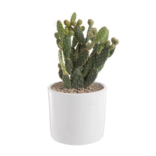 Opuntia mix en pot blanc émaillé Ø 20 cm