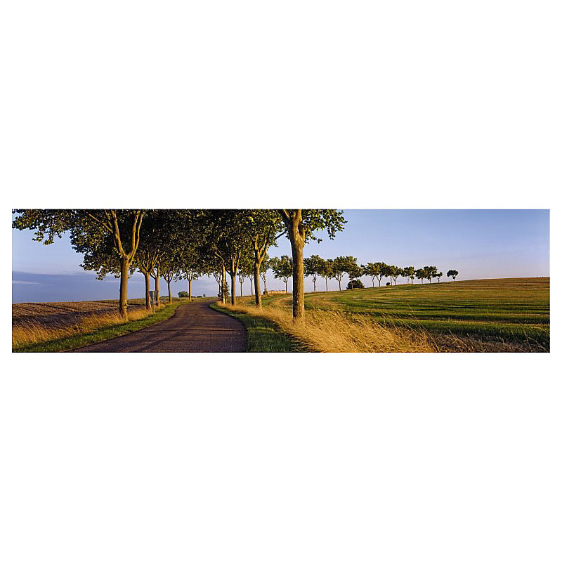 Brise vue imprimé ROUTE DANS L AUBE – H.0.8 x L.3 m, 100% occultant, Made in France par Scenolia + kit de fixation offert