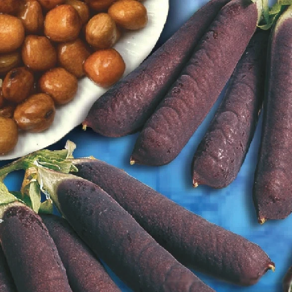 Pois à rames Blauwschokker Pisum sativum blauwschokker