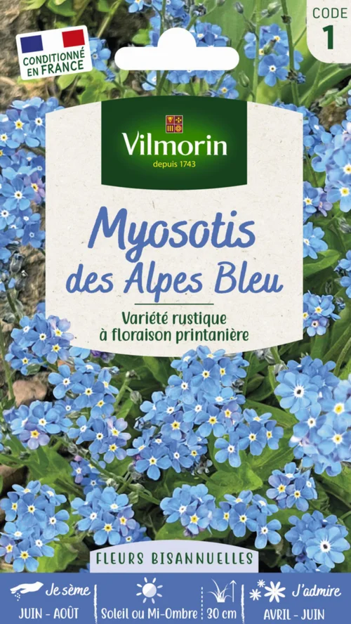 Myosotis des Alpes bleu Vilmorin - graines à semer