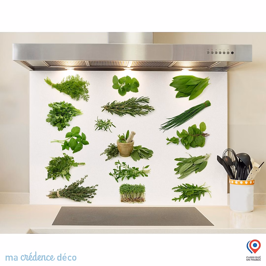 Crédence cuisine fond de hotte Herbier 4 – Verre trempé | L 90 cm x H 50 cm | MaCrédenceDéco
