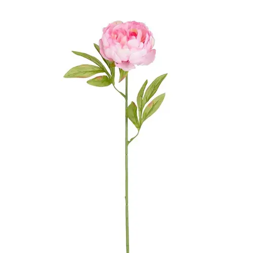 Tige de pivoine artificielle en plastique recyclé rose - 67 cm