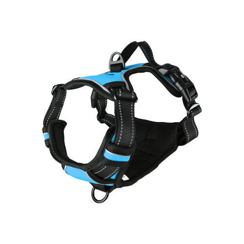 HARNAIS POUR CHIEN BALOU FLAMINGO® - BLEU - M