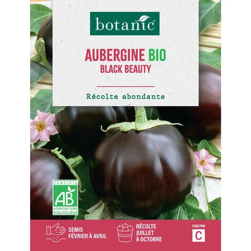 Graines d'aubergine black beauty bio botanic® - graines à semer