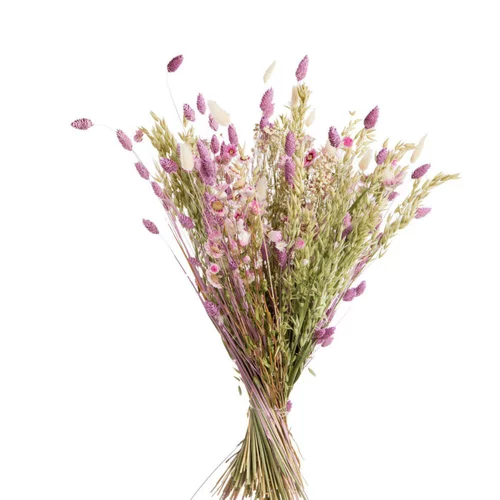 Bouquet coloris multicolore en fleurs séchées - Ø 25 cm