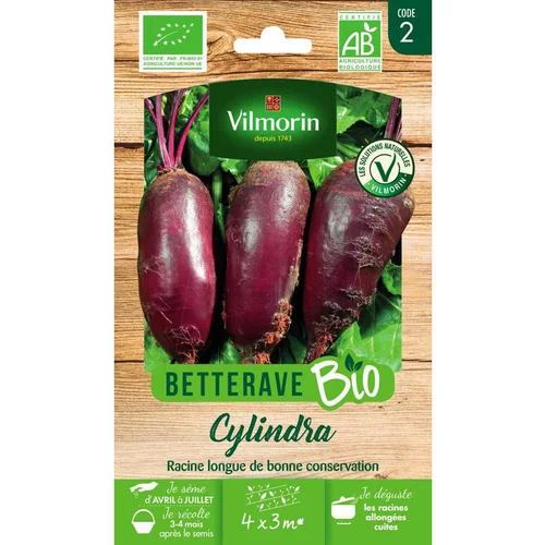 Graines de betterave cylindria bio Vilmorin - graines à semer