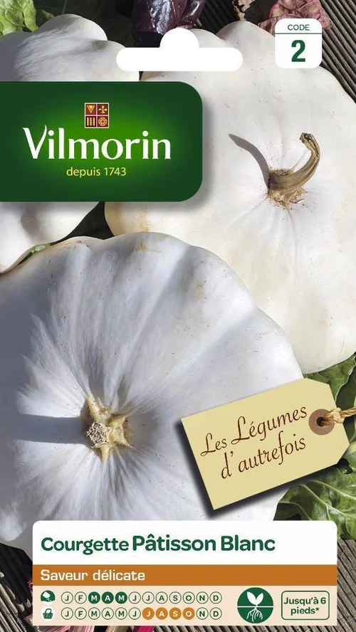 Courgette Pâtisson Blanc Vilmorin - graines à semer