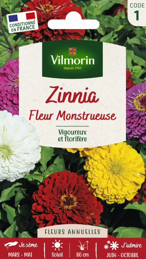 Graines de Zinnia fleur monstrueuse Vilmorin - graines à semer