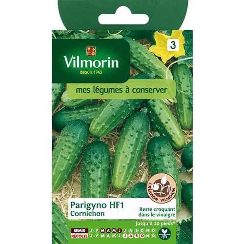 Graines de cornichon parigyno Vilmorin - graines à semer