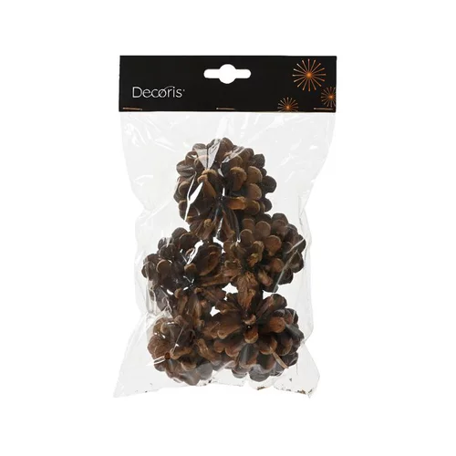 Pommes de pin naturelles
