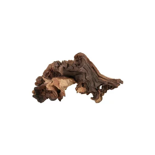 Racine Maupani en bois naturel marron taille S 17,5x10x4 cm