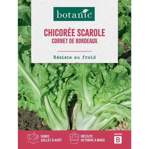 Graines de chicorée scarole cornet de Bordeaux botanic® - graines à semer