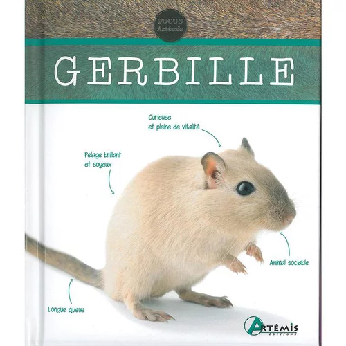 Gerbille aux éditions Artemis