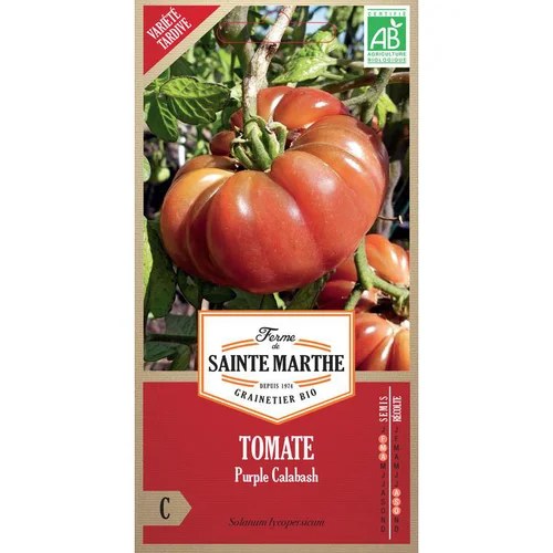 Graines de Tomate Purple Calabash bio Ferme de Sainte Marthe - graines à semer