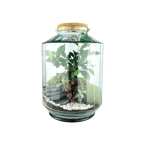 Terrarium autonome Napoli L botanic® - Ø 25 x 37 cm