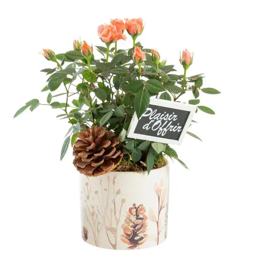 Mini rosier pot céramique décor sous-bois - Ø 12 cm