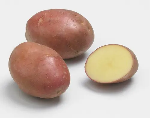 Sachet de pommes de terre desiré calibre 28/35 - 3 kg