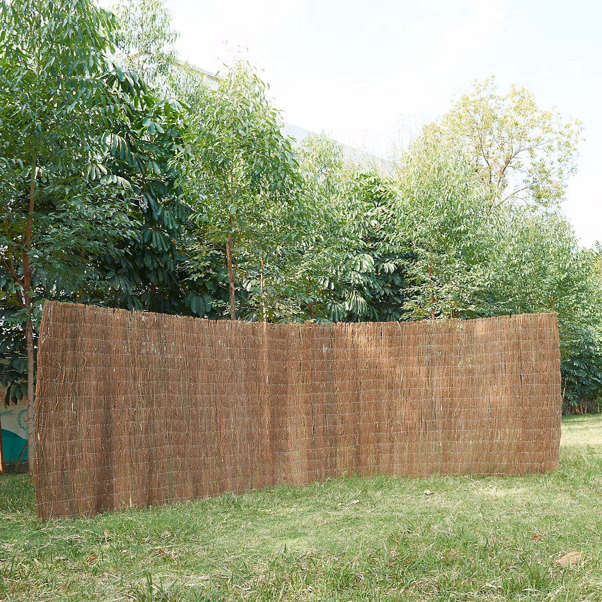 Brise – vue en brande de bruyère Brielle 1, 5 kg / m² 500 × 150 cm casa.pro