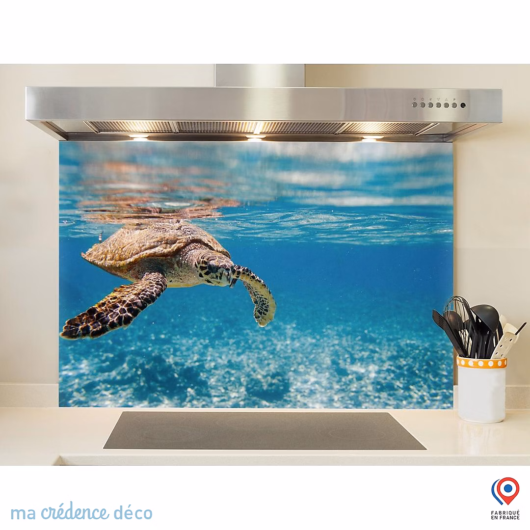 Crédence cuisine fond de hotte Tortue marine aux Seychelles – Verre trempé | L 90 cm x H 50 cm | MaCrédenceDéco