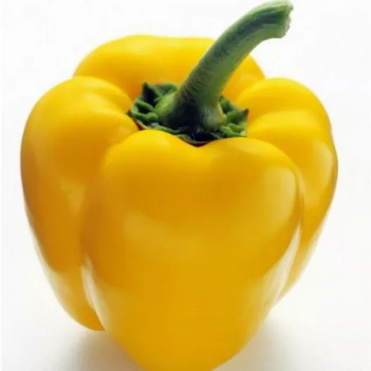 Biologische zaden van Paprika Quadrato d'Asti Giallo