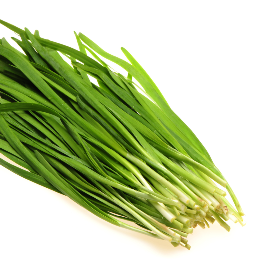 Eeuwige Prei | BIO Plant