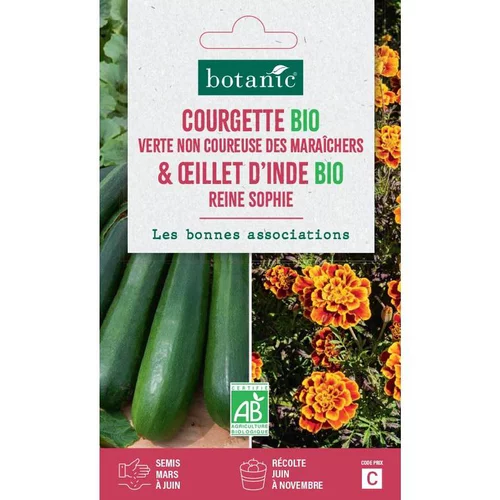 Graines de courgette verte non coureuse maraichers bio d'œillet bio botanic® - graines à semer
