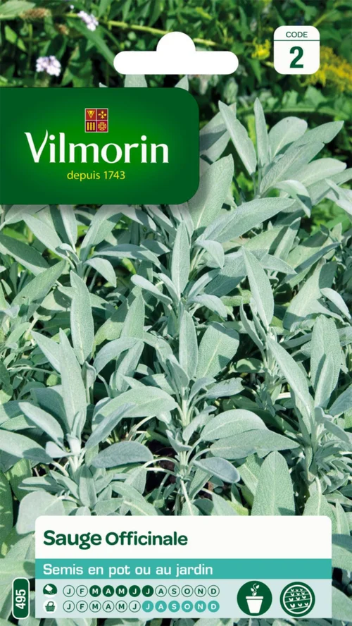 Sauge Officinale Vilmorin - graines à semer
