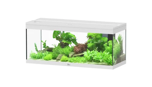 Aquarium coloris blanc Aquatlantis Prestige LED 2.0 144 L - 100 x 40 x 40 cm