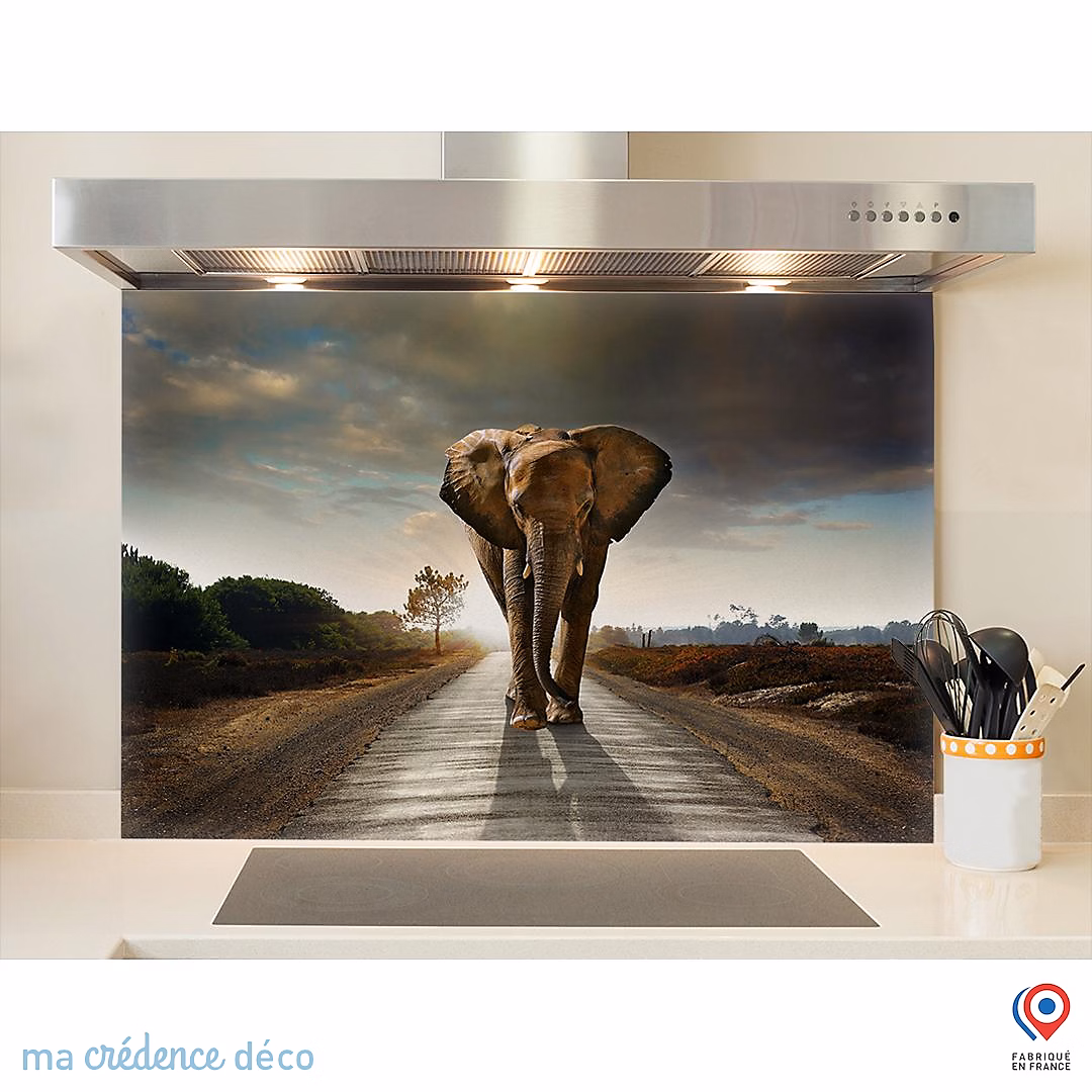 Crédence cuisine fond de hotte Eléphant – Verre trempé | L 70 cm x H 60 cm | MaCrédenceDéco