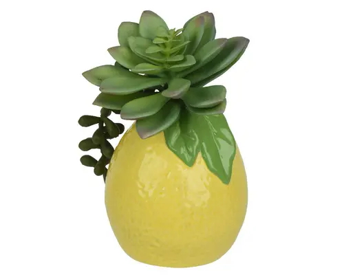 Succulente et pot citron en dolomite jaune - 9 x 8 x 14 cm
