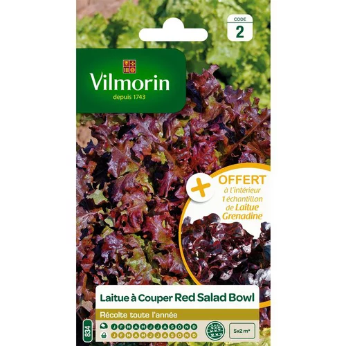 Graines de laitue à couper red salad bowl Vilmorin - graines à semer