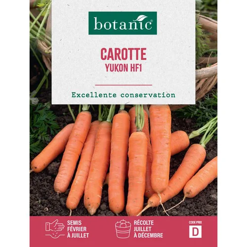 Graines de Carotte Yukon Hybride F1 botanic® - graines à semer