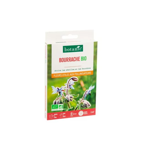 Bourrache bio botanic® - graines à semer (3 m²)