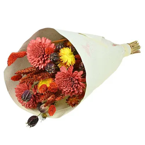 Bouquet de fleurs séchées Naturalys - Bouquet Sola S rouge - 50 cm
