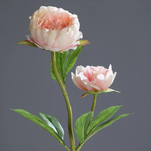 Pivoine rose artificielle 2 fleurs - 60 cm