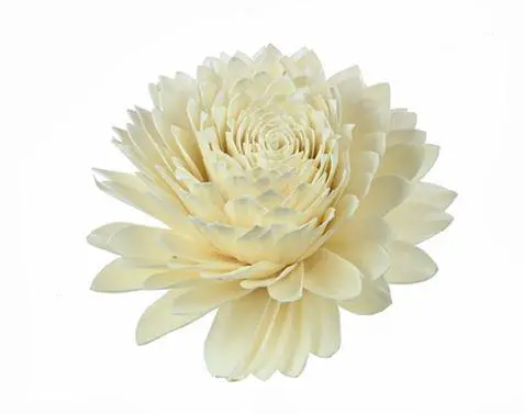 Tête de fleur de Sola blanche à suspendre Naturalys - Ø 25 cm